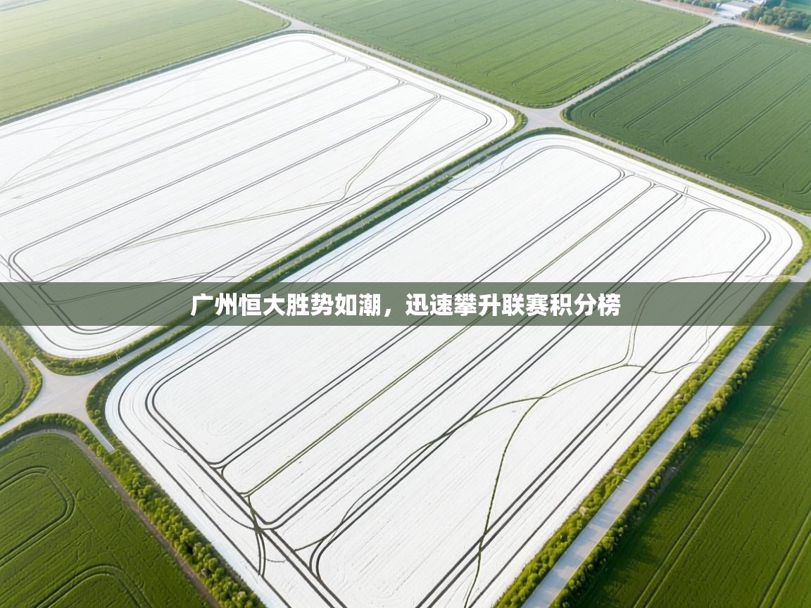 广州恒大胜势如潮，迅速攀升联赛积分榜  第1张