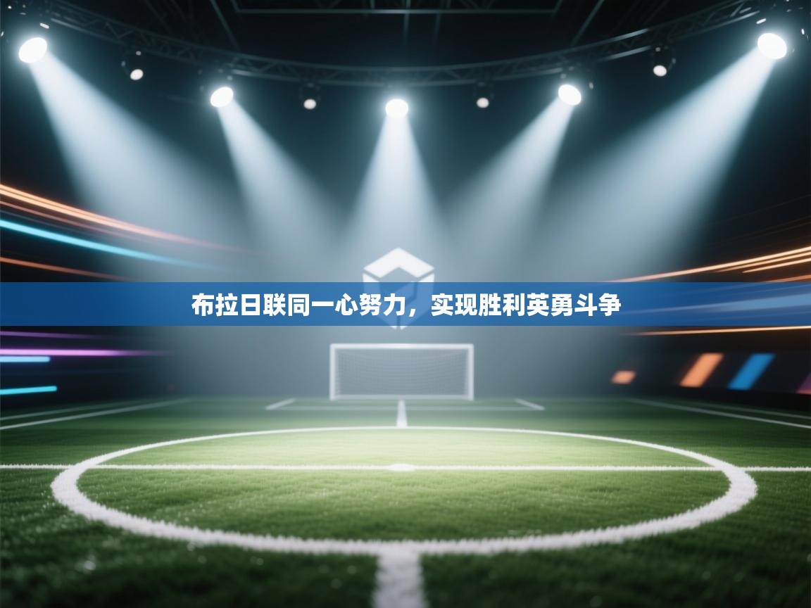 布拉日联同一心努力,实现胜利英勇斗争 第1张