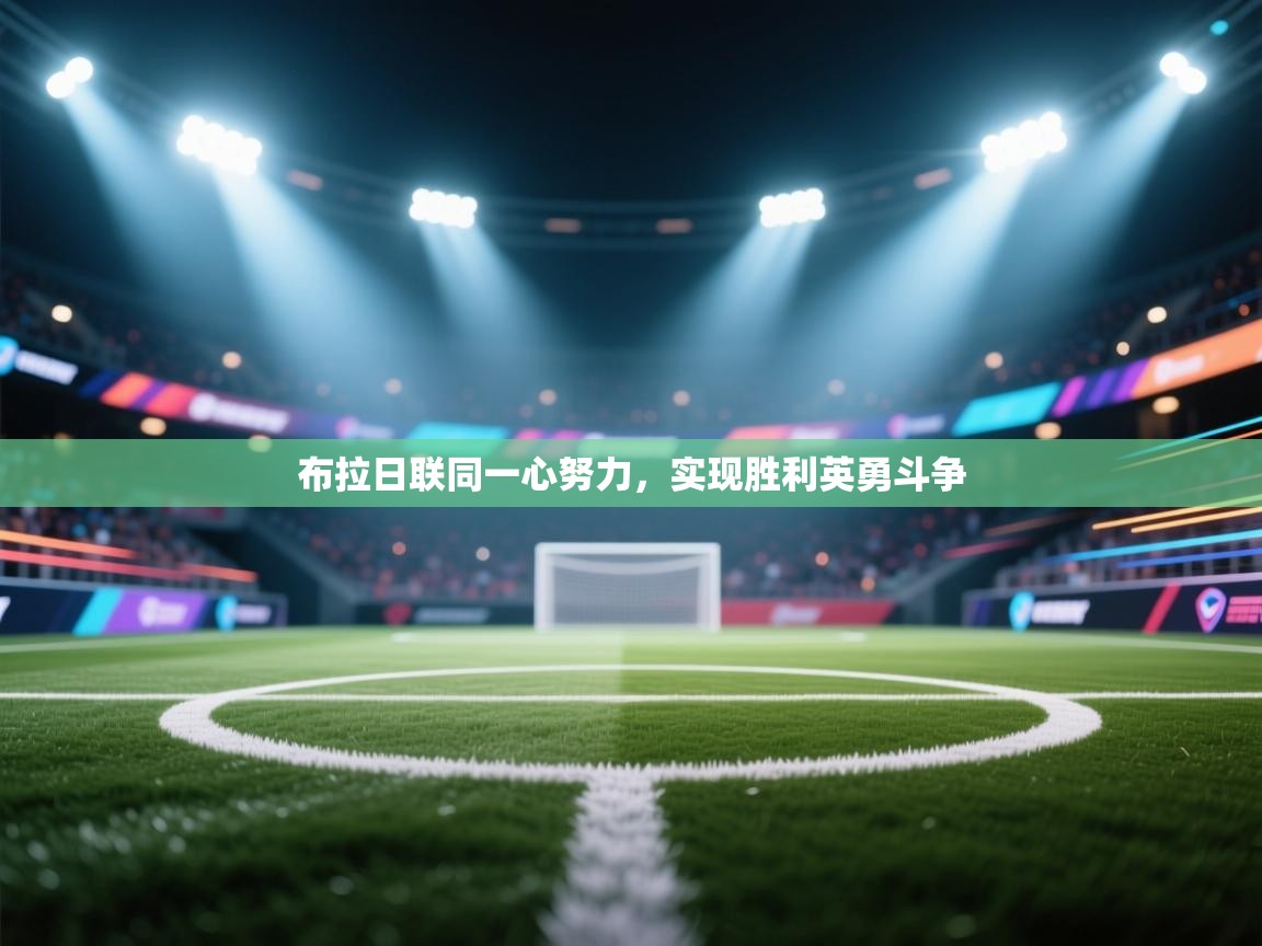 布拉日联同一心努力,实现胜利英勇斗争 第2张