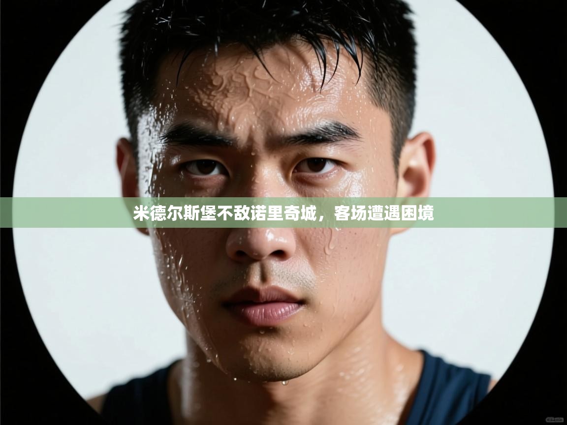 米德尔斯堡不敌诺里奇城，客场遭遇困境  第1张