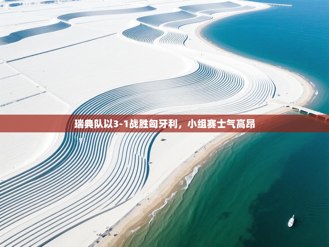 瑞典队以3-1战胜匈牙利,小组赛士气高昂 第1张