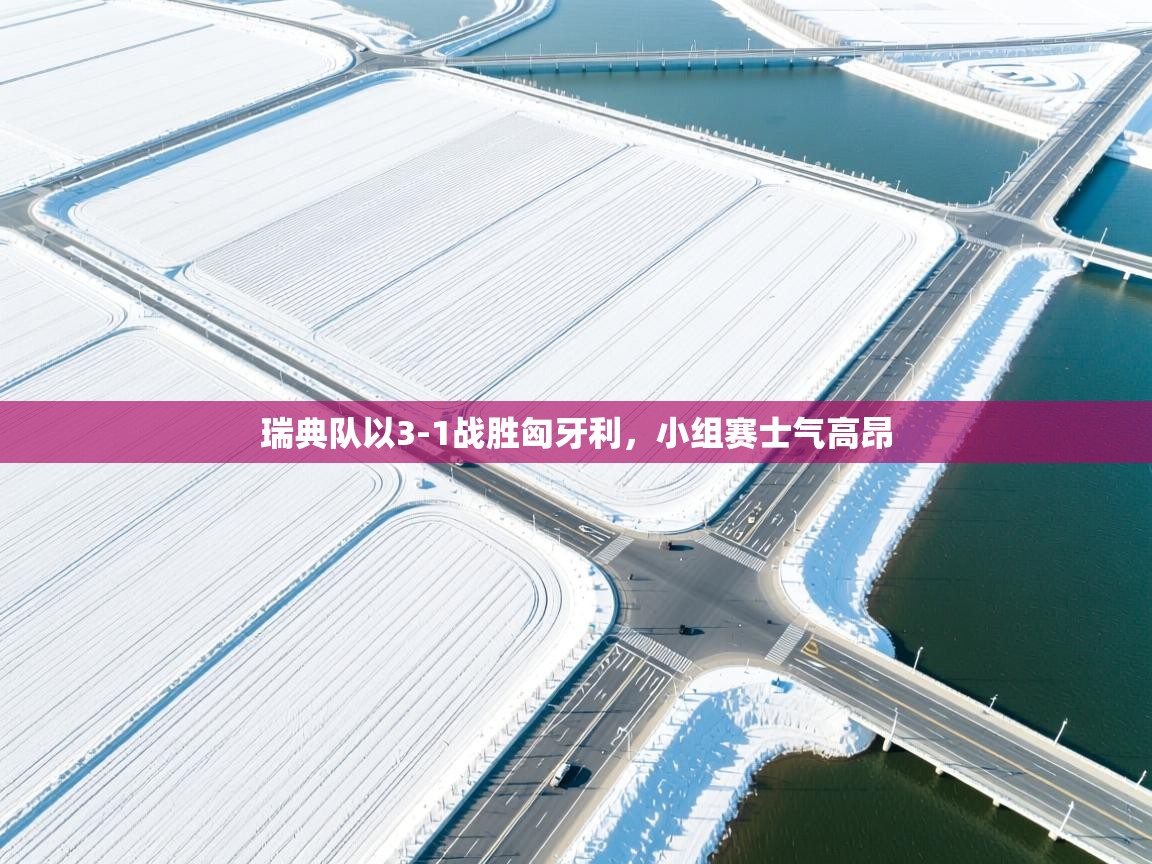 瑞典队以3-1战胜匈牙利,小组赛士气高昂 第2张