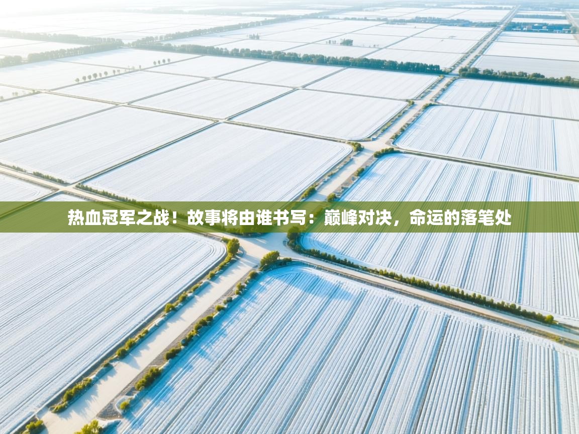 热血冠军之战！故事将由谁书写：巅峰对决，命运的落笔处  第1张