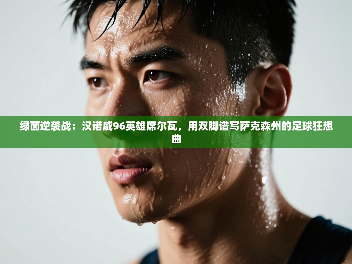 绿茵逆袭战：汉诺威96英雄席尔瓦，用双脚谱写萨克森州的足球狂想曲  第1张