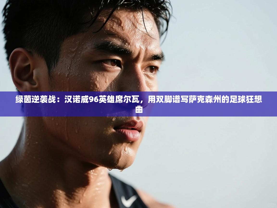 绿茵逆袭战：汉诺威96英雄席尔瓦，用双脚谱写萨克森州的足球狂想曲  第2张