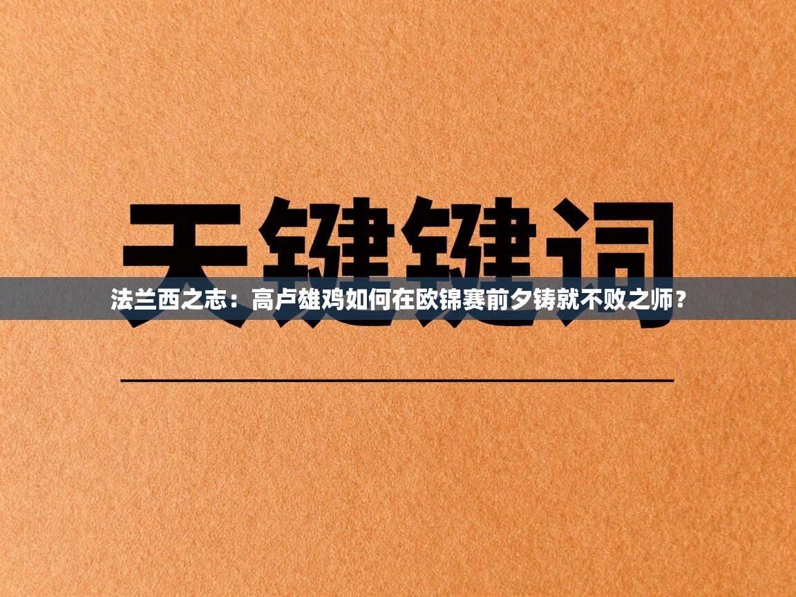 法兰西之志：高卢雄鸡如何在欧锦赛前夕铸就不败之师？  第2张