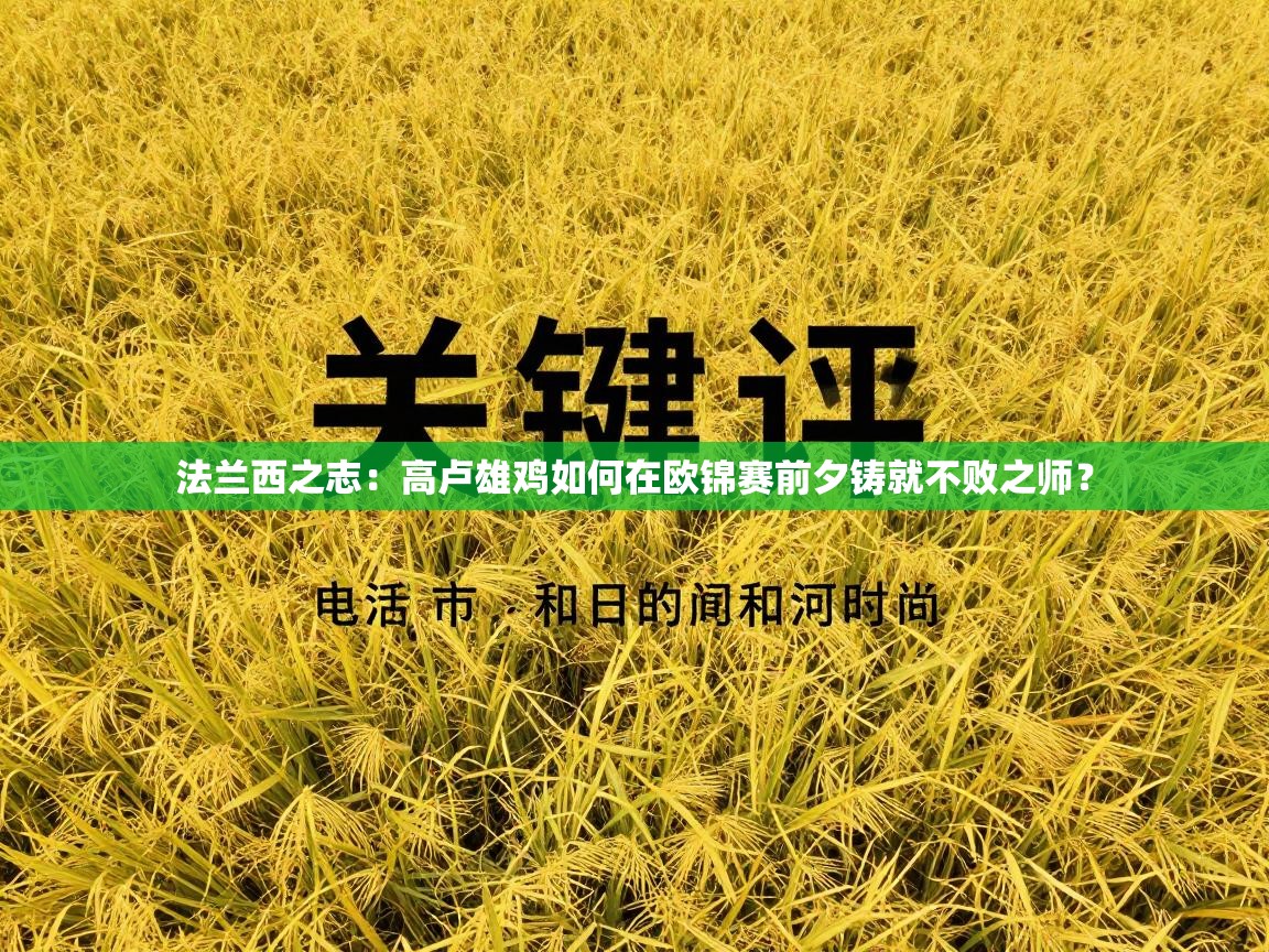 法兰西之志：高卢雄鸡如何在欧锦赛前夕铸就不败之师？  第1张