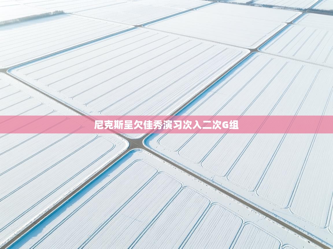 尼克斯呈欠佳秀演习次入二次G组 第1张