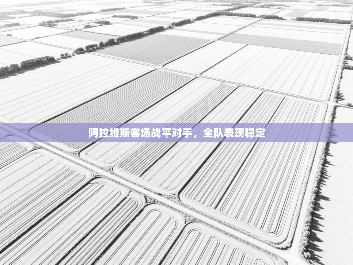 阿拉维斯客场战平对手，全队表现稳定  第2张