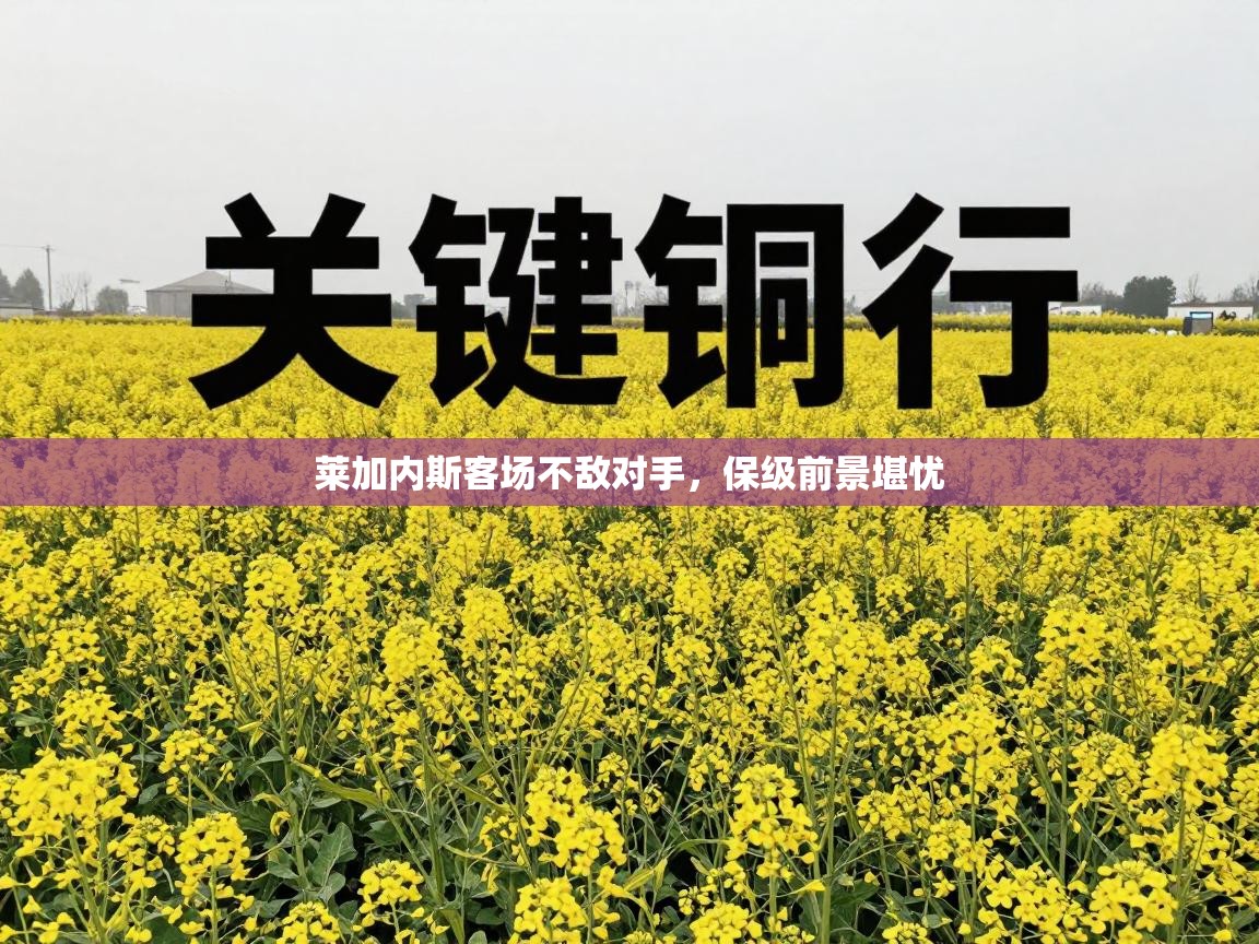 莱加内斯客场不敌对手，保级前景堪忧  第2张